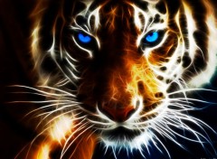  Art - Numrique Eyes of Tiger