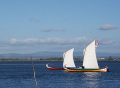  Bateaux Image sans titre N308321