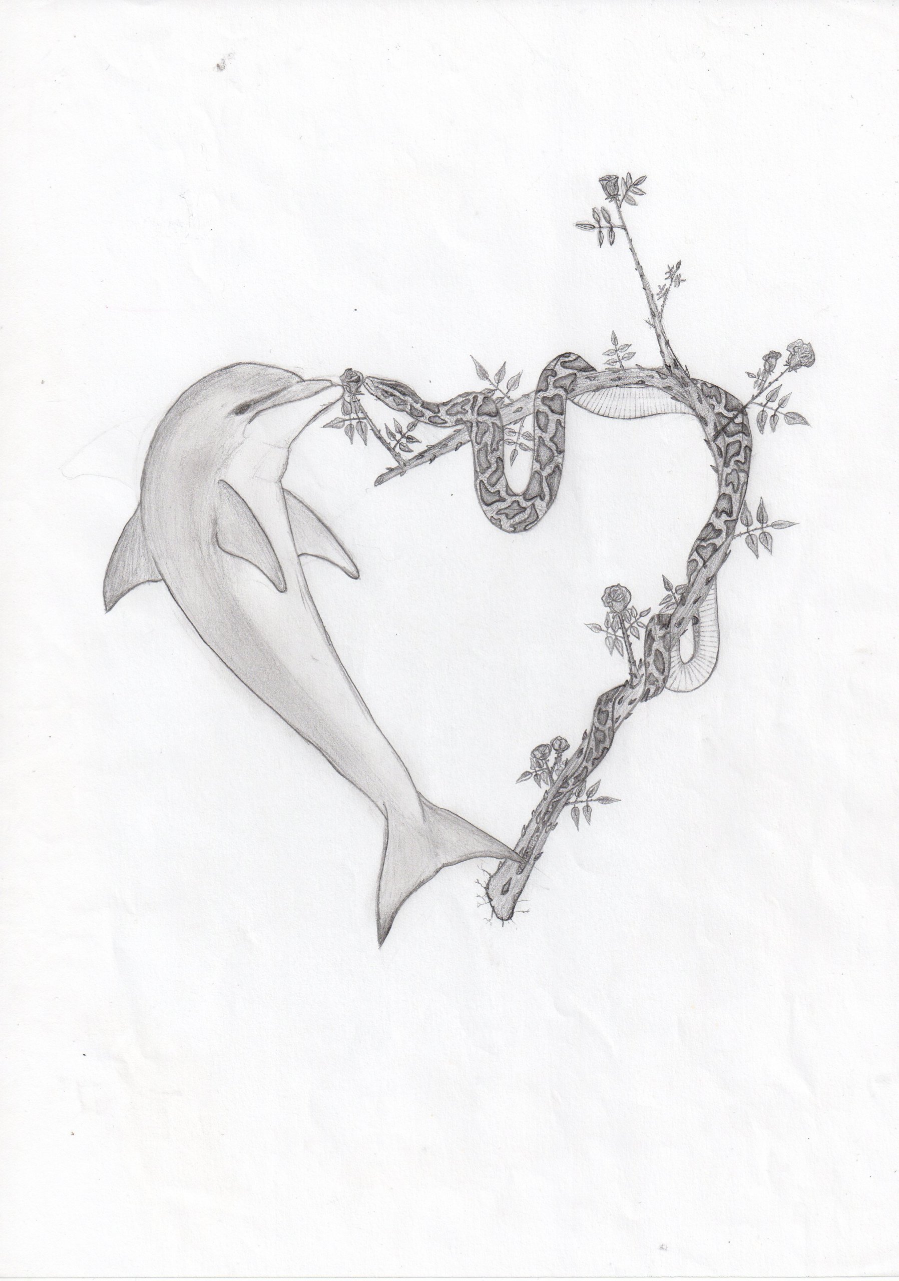 Wallpapers Art - Pencil Animals - Dolphins 