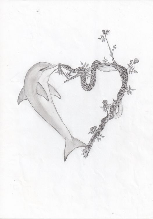 Wallpapers Art - Pencil Animals - Dolphins Wallpaper N308720