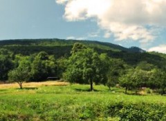  Nature lac du bourget