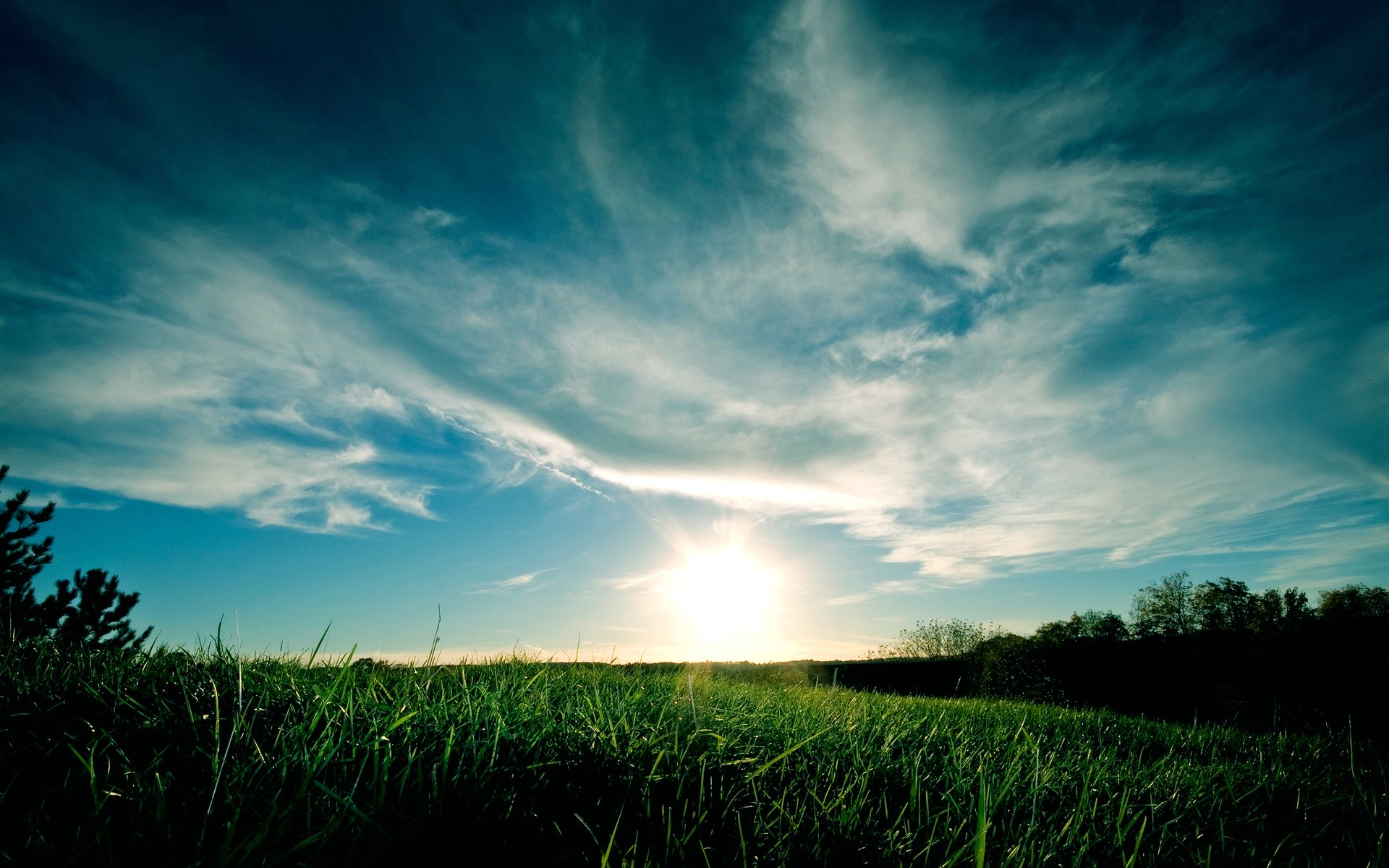 Fonds d'cran Nature Champs - Prairies 