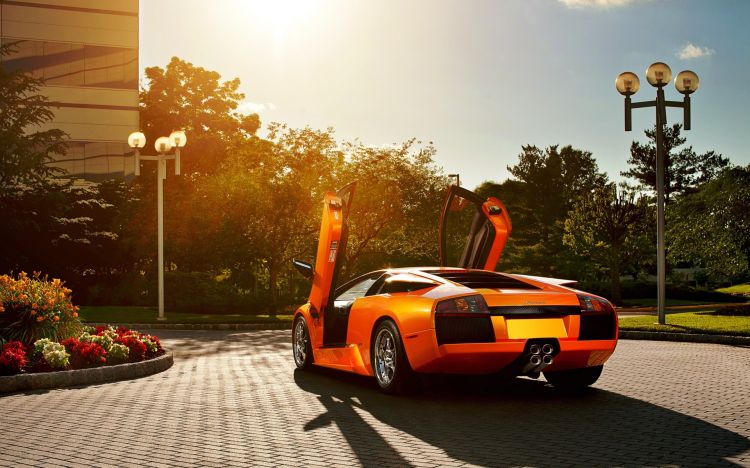 Wallpapers Cars Lamborghini Murcielago LP640