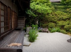  Trips : Asia Jardin japonais