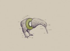  Digital Art Kiwi