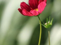  Nature au jardin des martels