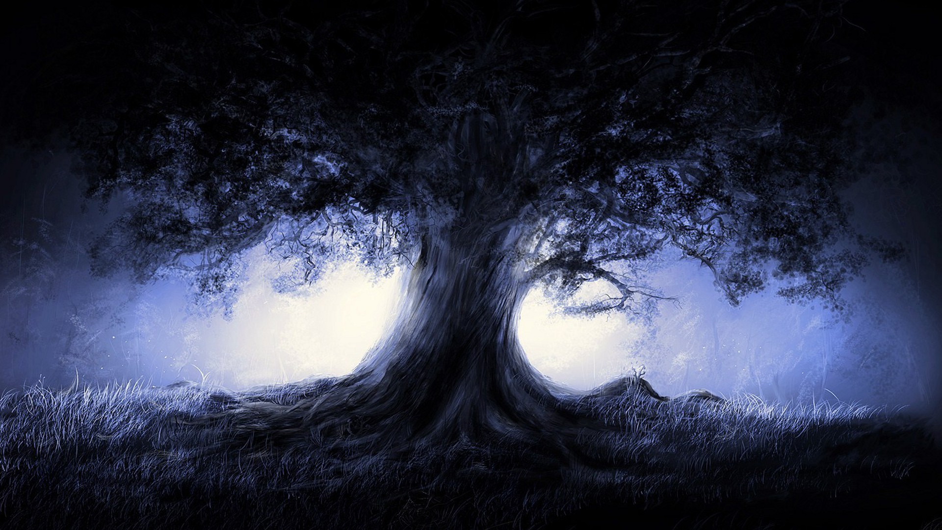 Wallpapers Digital Art Nature - Trees, plants Un arbre dans la nuit