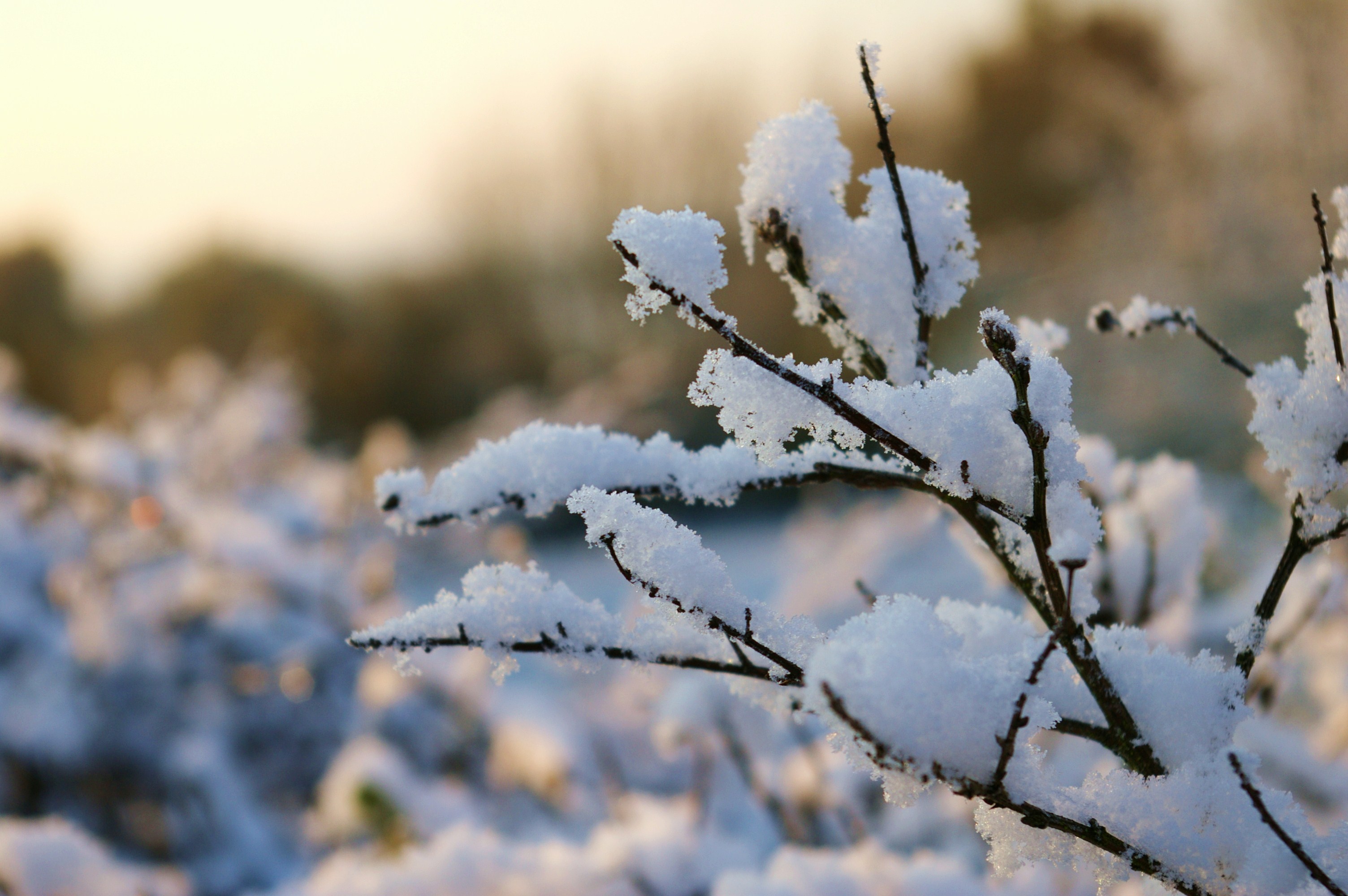 Fonds d'cran Nature Saisons - Hiver 