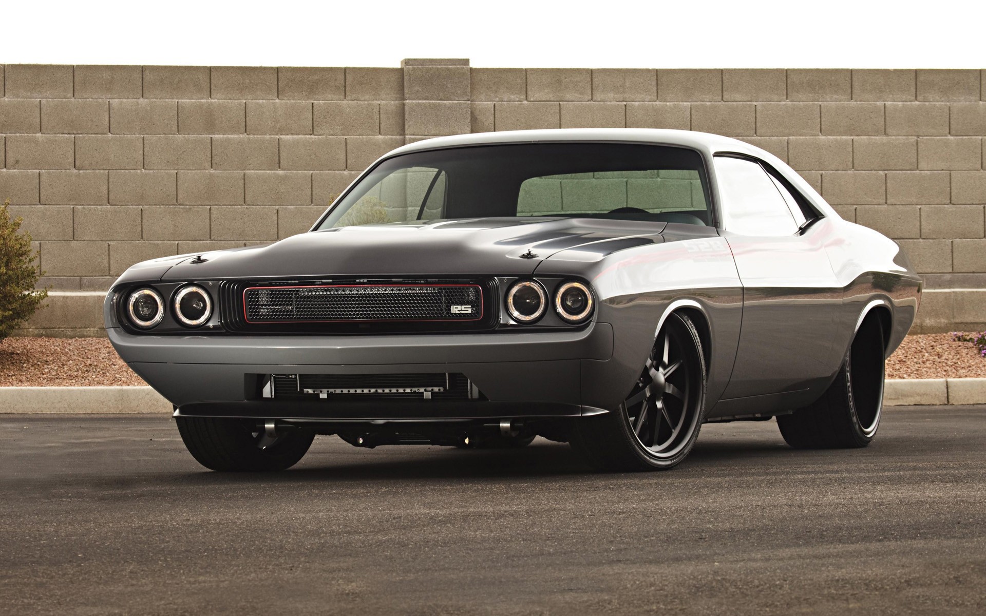 Wallpapers Cars Dodge Challenger noir mat