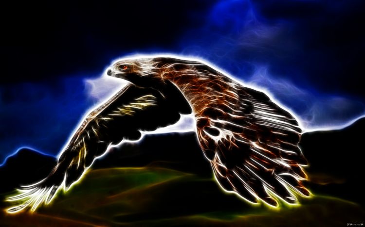 Wallpapers Digital Art Animals Aigle