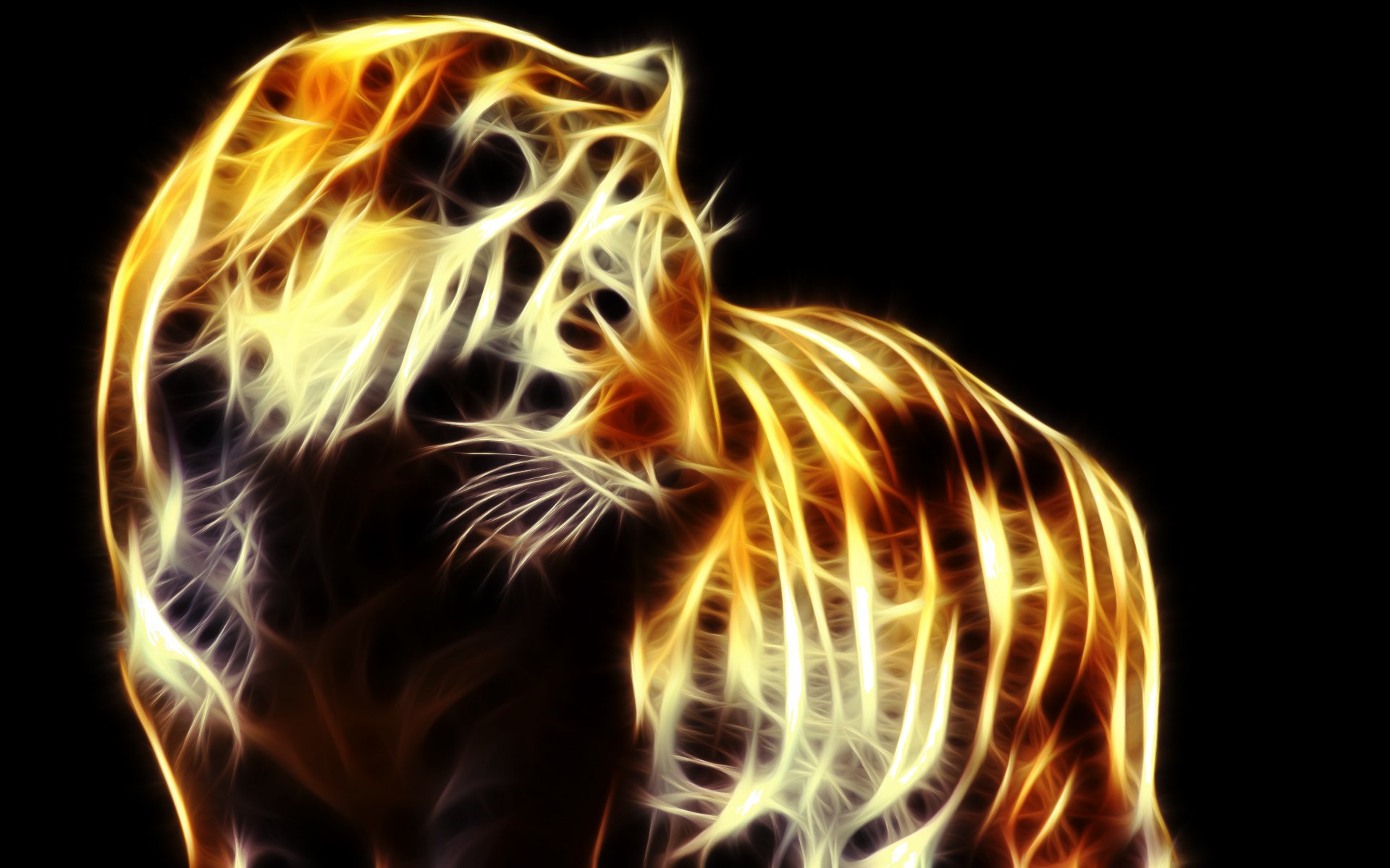 Wallpapers Animals Felines - Tigers The Eye Of The Tiger