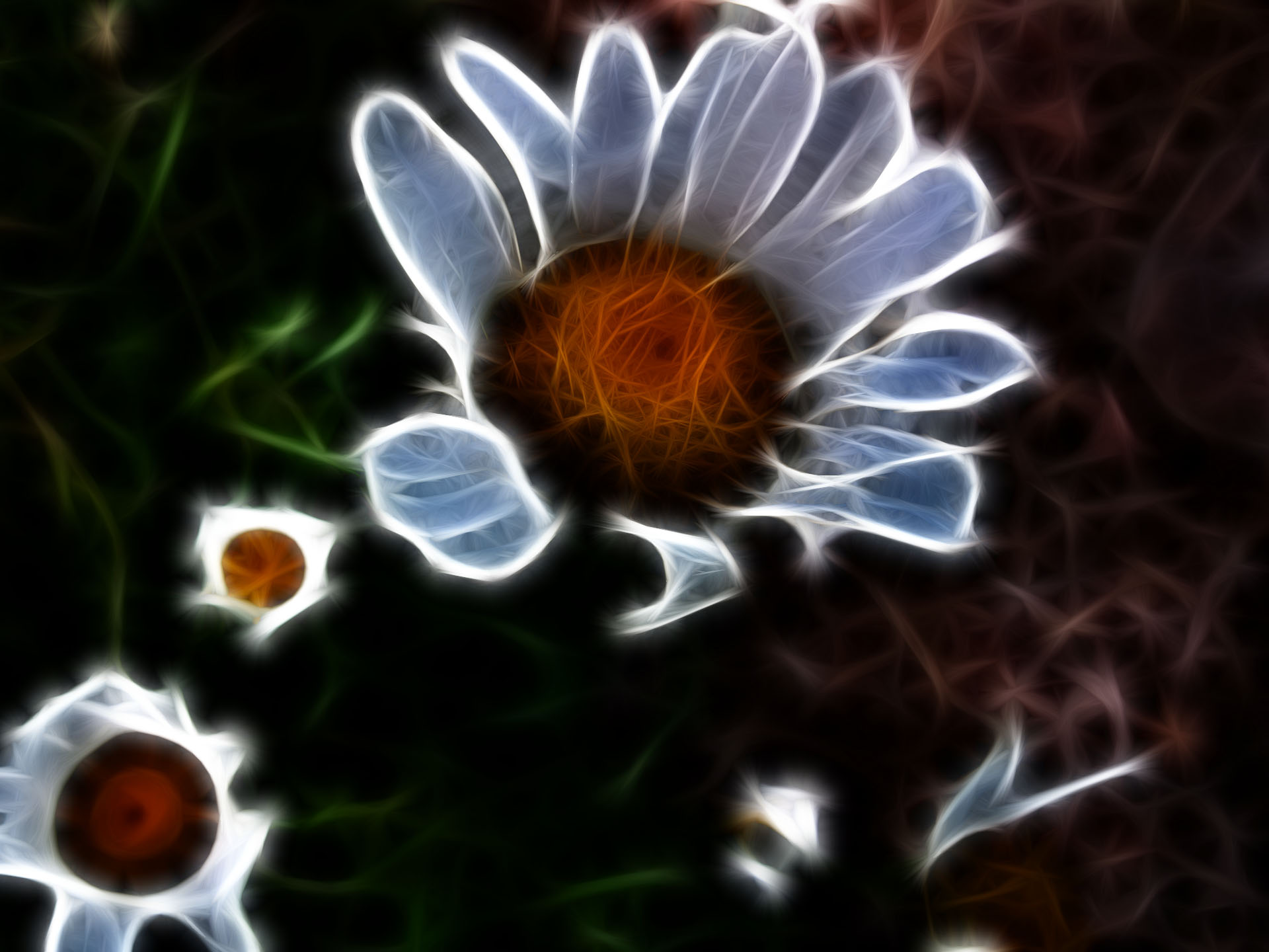 Wallpapers Digital Art Nature - Flowers fractal