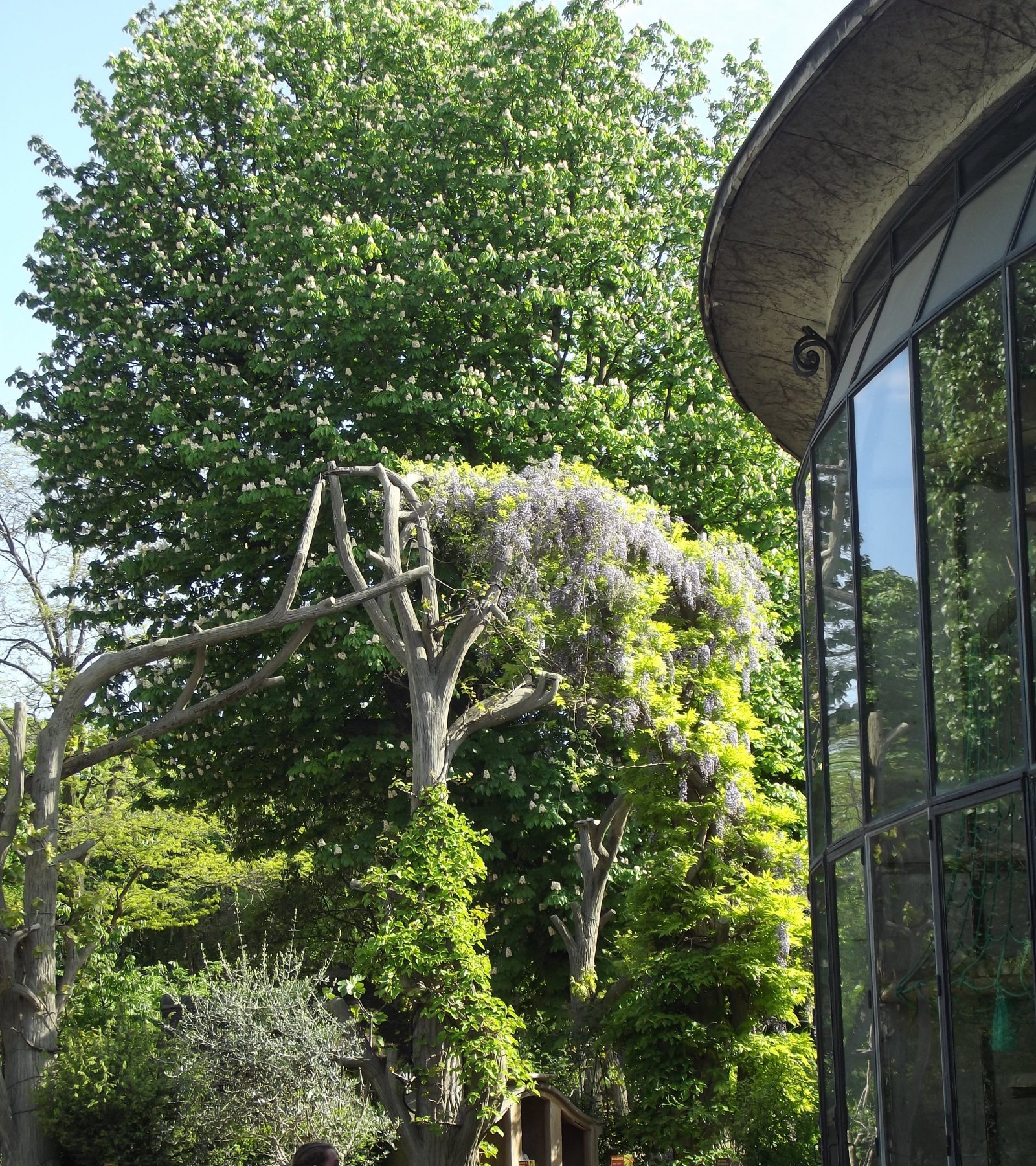 Fonds d'cran Nature Arbres - Forts 