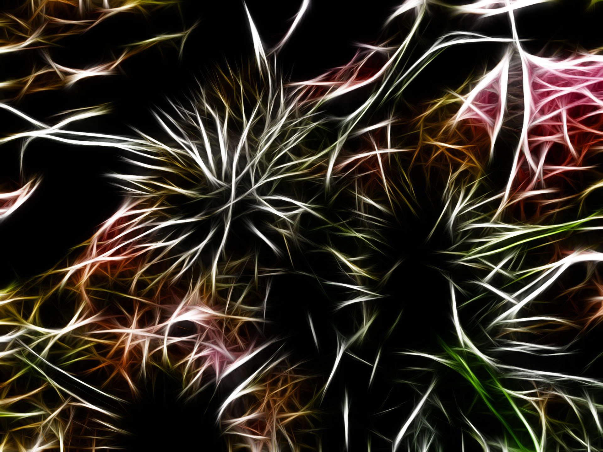 Fonds d'cran Art - Numrique Nature - Fleurs fractalius