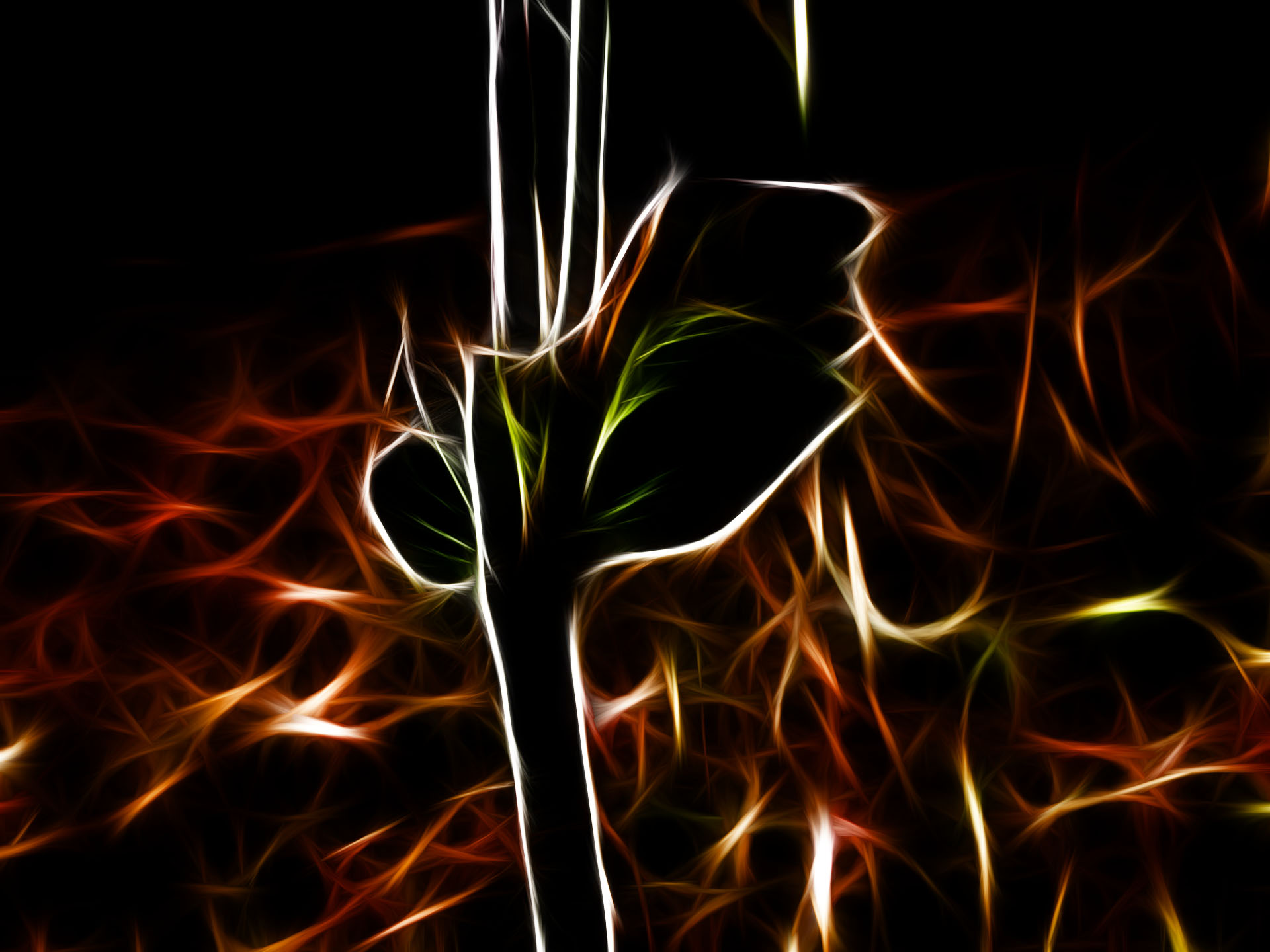 Fonds d'cran Art - Numrique Nature - Fleurs fractalius