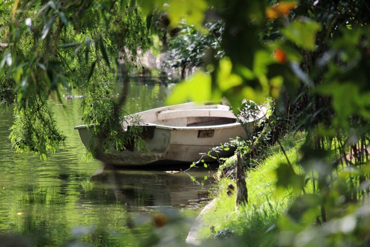 Wallpapers Boats Small Boats - Canoes la barque