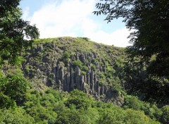  Nature les orgues