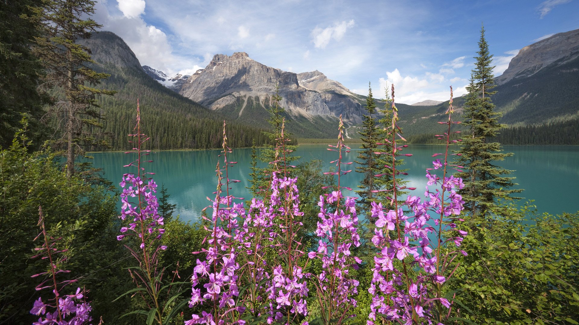 Fonds d'cran Nature Lacs - Etangs 