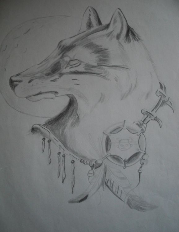 Fonds d'cran Art - Crayon Animaux - Loups loup indien