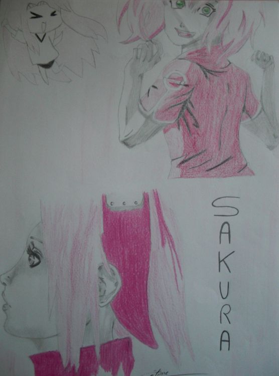 Fonds d'cran Art - Crayon Manga - Naruto Sakura