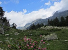  Nature Pyrnes aragonaises, Espagne