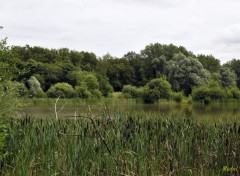  Nature Un petit lac dans la verdure