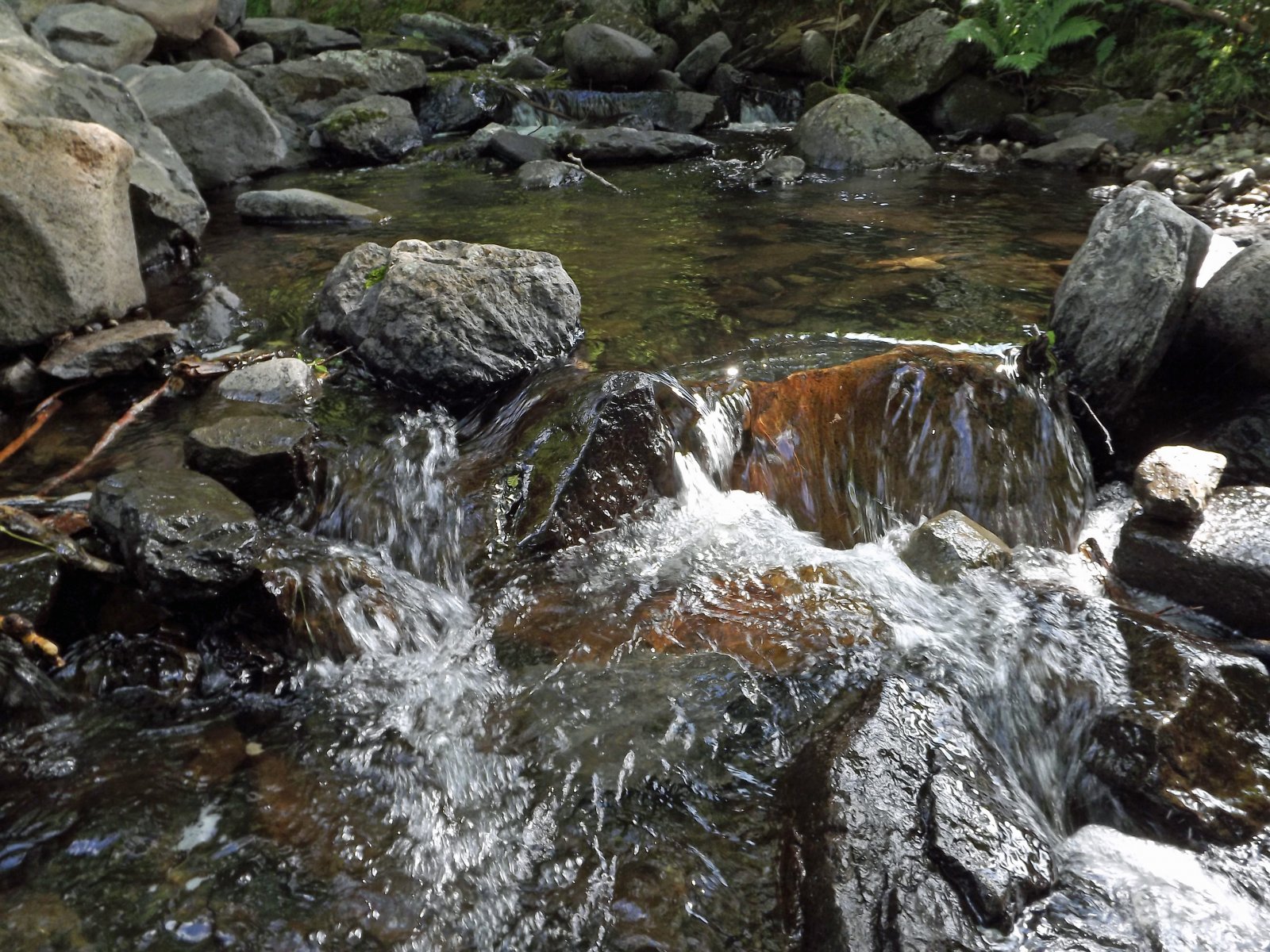 Fonds d'cran Nature Fleuves - Rivires - Torrents rivire , eau vive