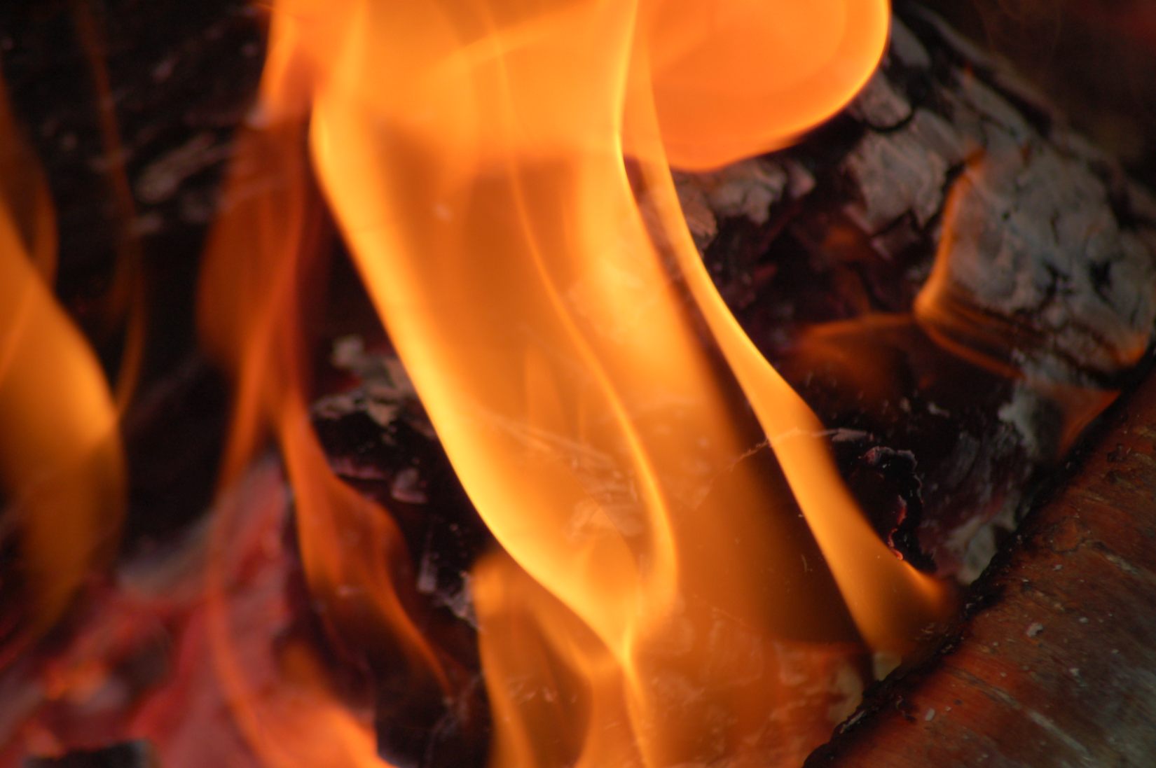 Wallpapers Nature Fires Macro