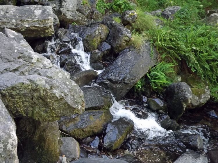 Fonds d'cran Nature Fleuves - Rivires - Torrents rivire , eau vive