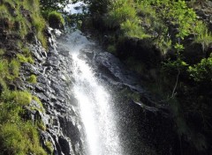  Nature cascade de Faillitoux (cantal)