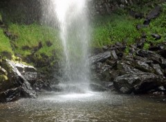  Nature cascade de Faillitoux (cantal)