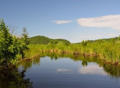  Nature Outaouais