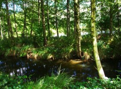  Nature des rivieres et des arbres