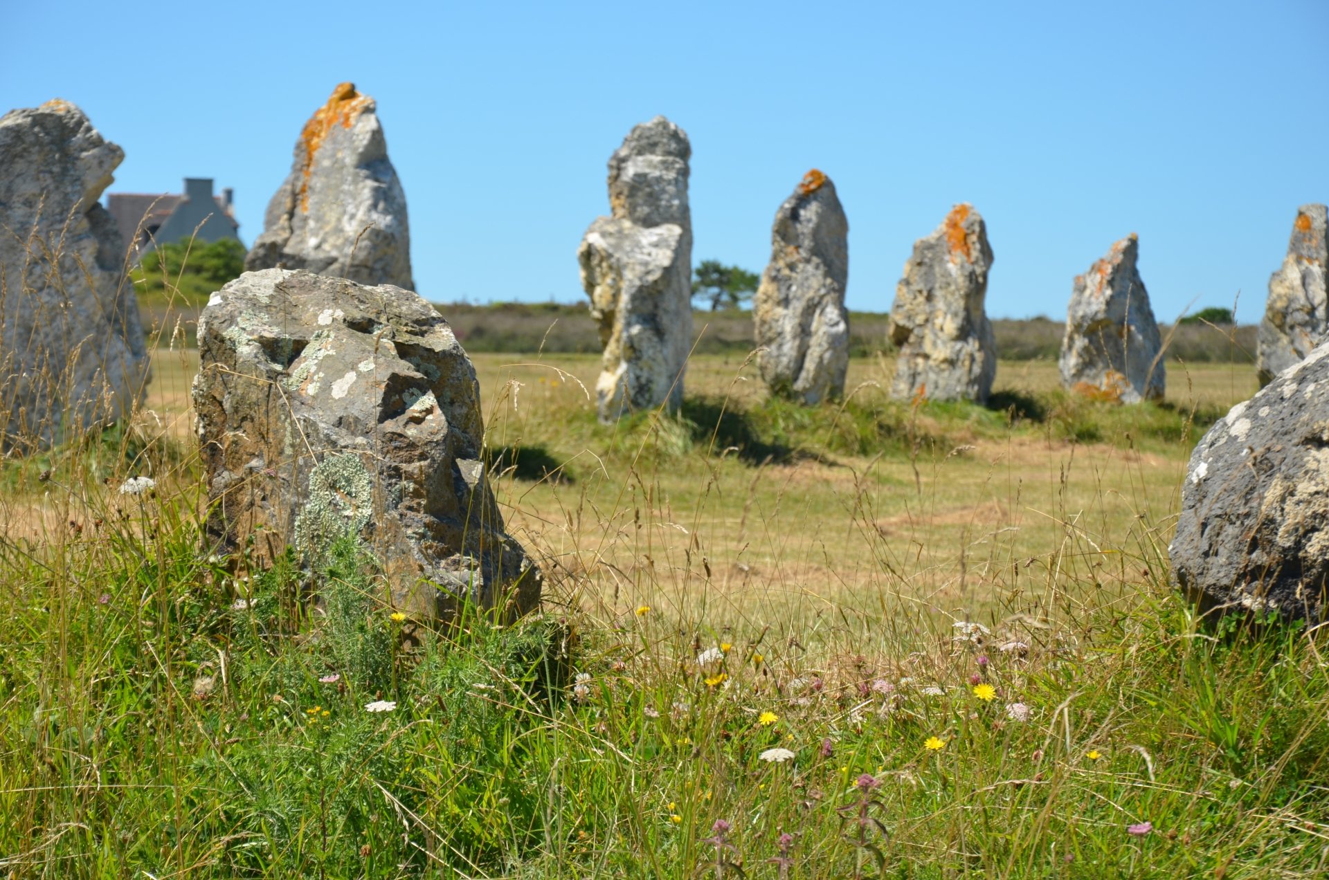 Wallpapers Trips : Europ France > Bretagne L'alignement de Menhir  Lagatjar prs de Camaret