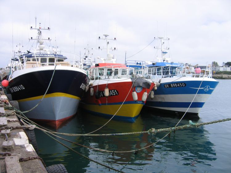 Fonds d'cran Bateaux Bateaux de pche port du guilvinec