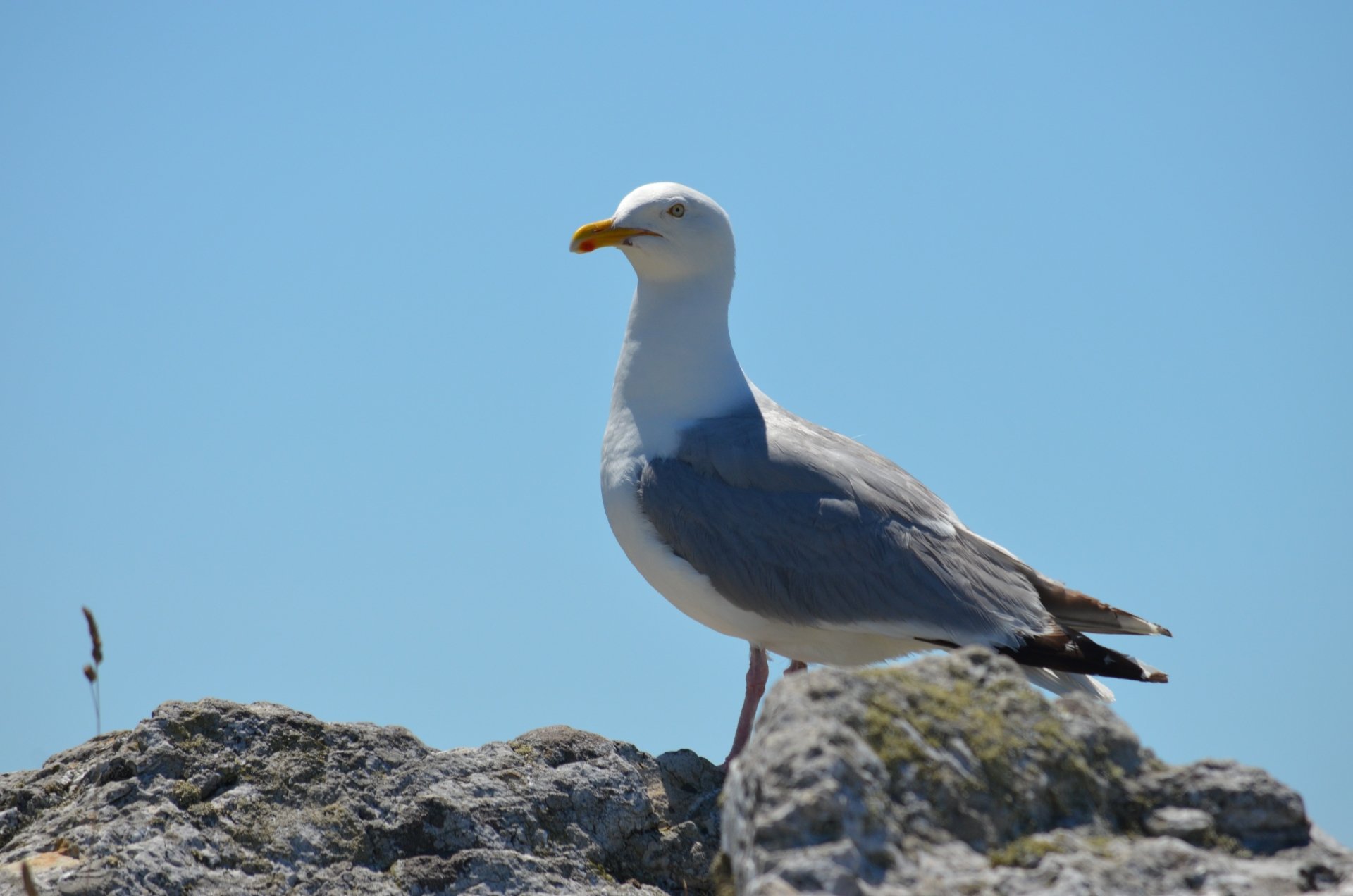 Wallpapers Trips : Europ France > Bretagne 