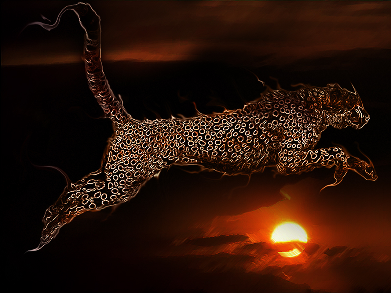 Wallpapers Animals Felines - Cheetahs Puma on Fire