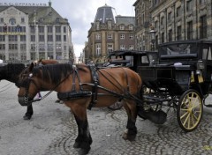 Fonds d'cran Voyages : Europe Quelques jours à Amsterdam