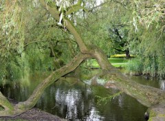  Nature Quelques jours  Amsterdam