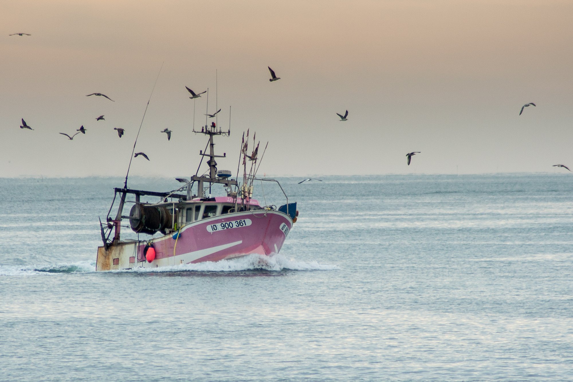 Wallpapers Boats Fishing Boats retour de pche 