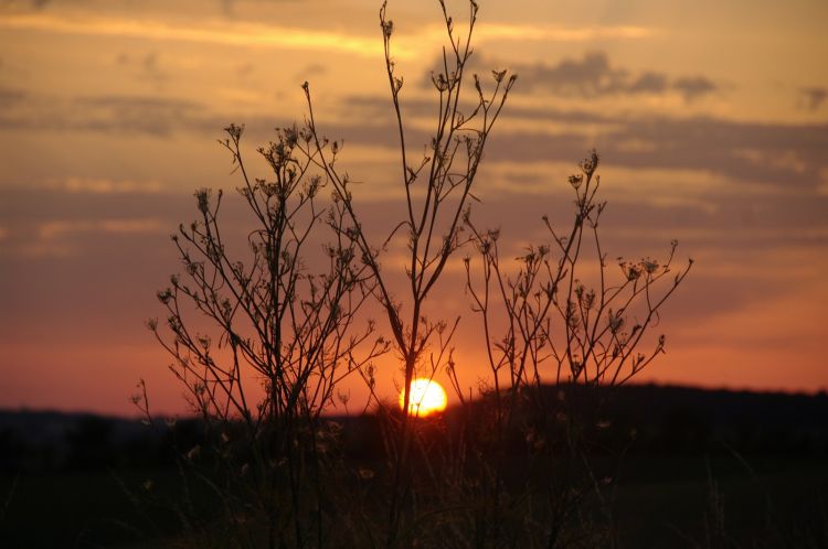 Fonds d'cran Nature Couchers et levers de Soleil coucher de soleil