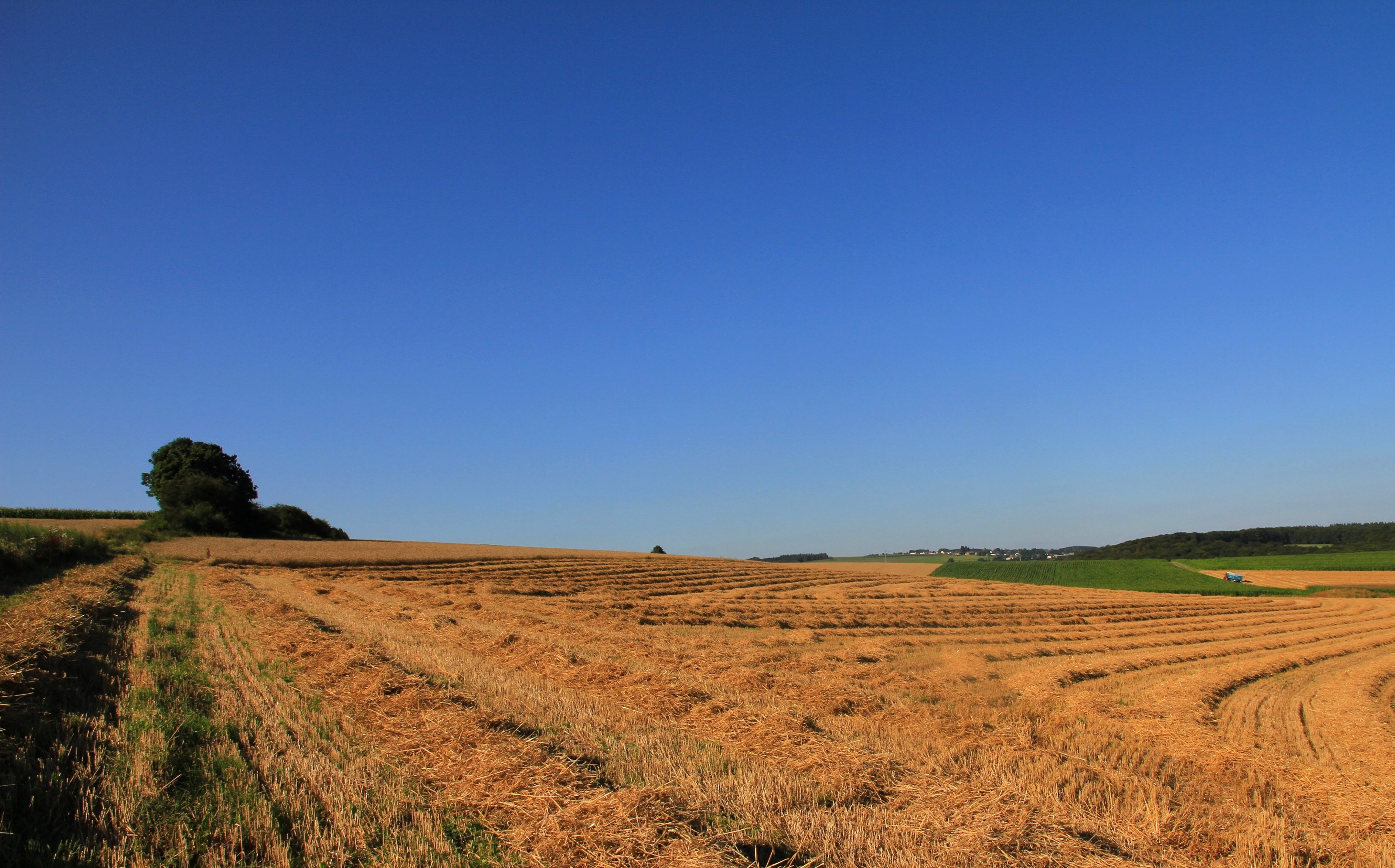 Fonds d'cran Nature Champs - Prairies 