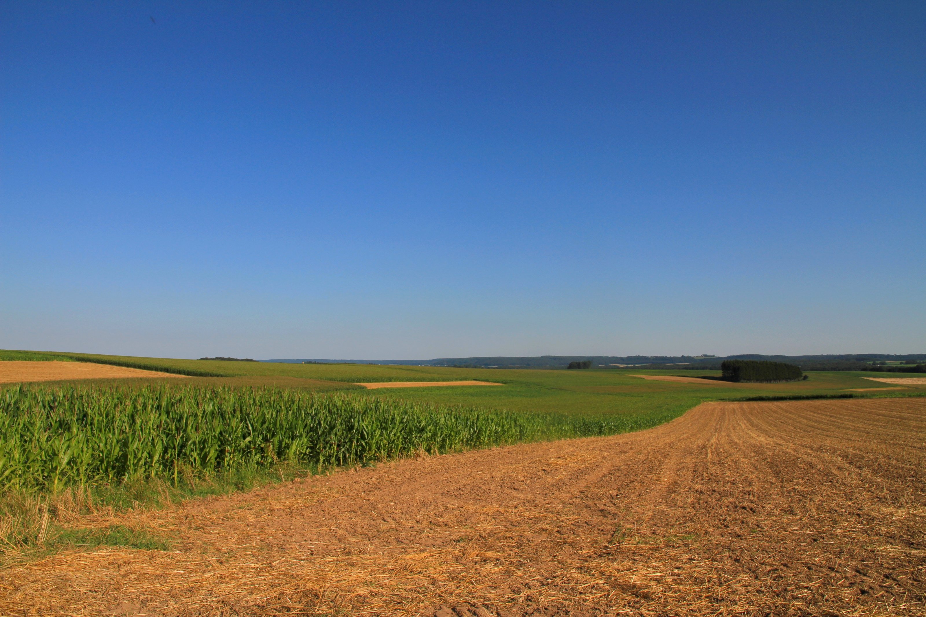 Fonds d'cran Nature Champs - Prairies 