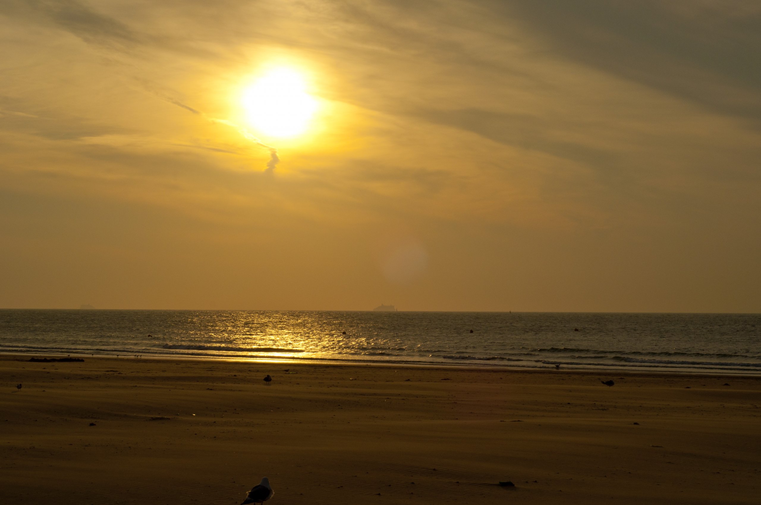 Fonds d'cran Nature Mers - Ocans - Plages Plage de Calais - Coucher de soleil