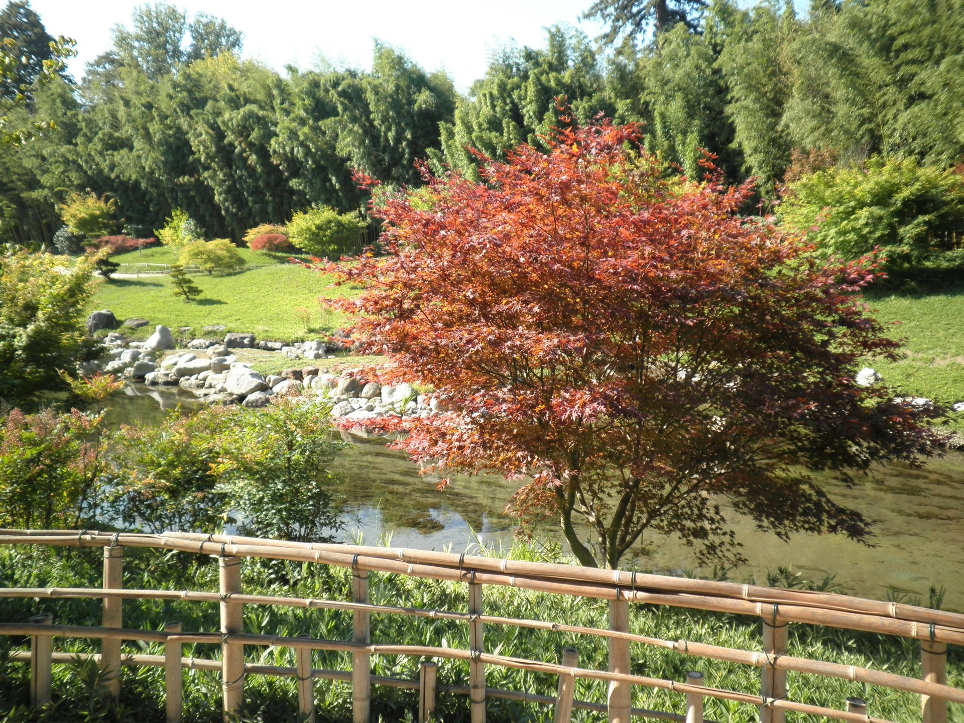 Fonds d'cran Nature Parcs - Jardins 