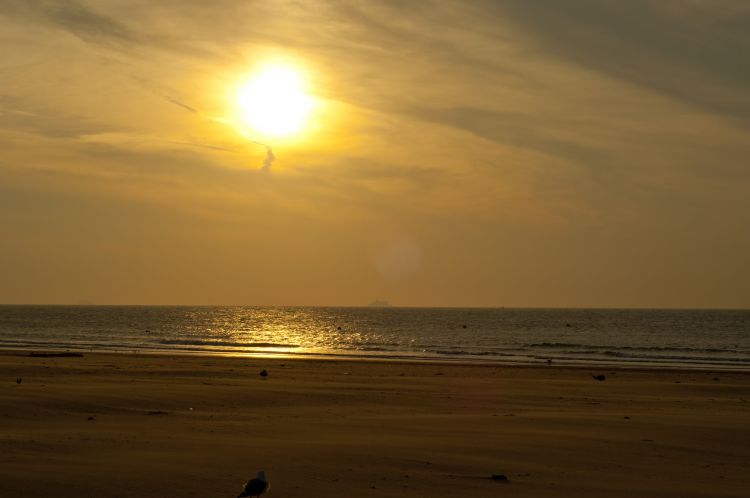 Fonds d'cran Nature Mers - Ocans - Plages Plage de Calais - Coucher de soleil