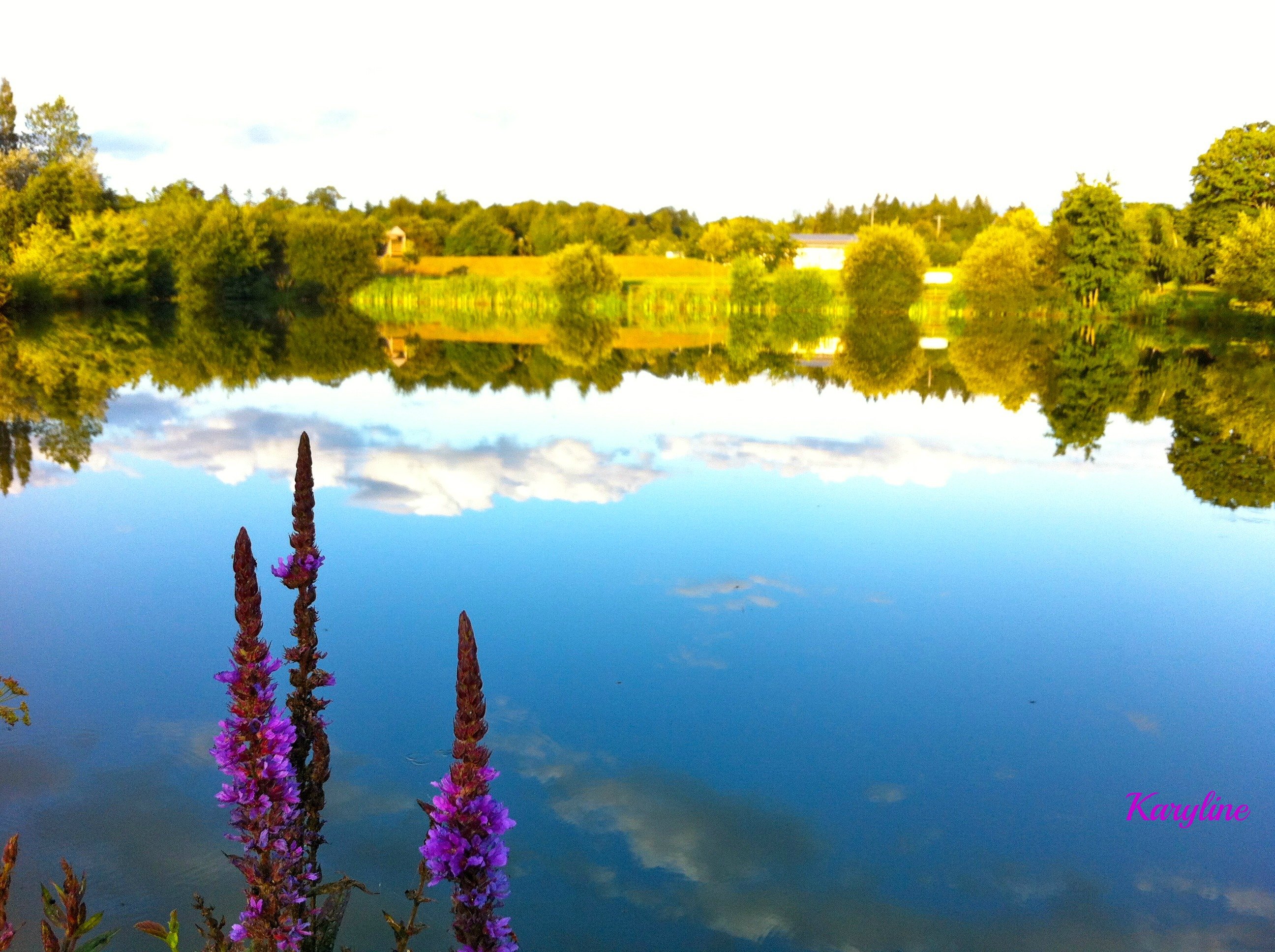 Fonds d'cran Nature Lacs - Etangs Reflets 4