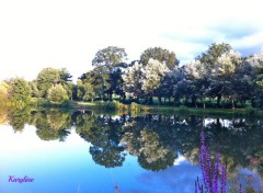  Nature Reflets 2