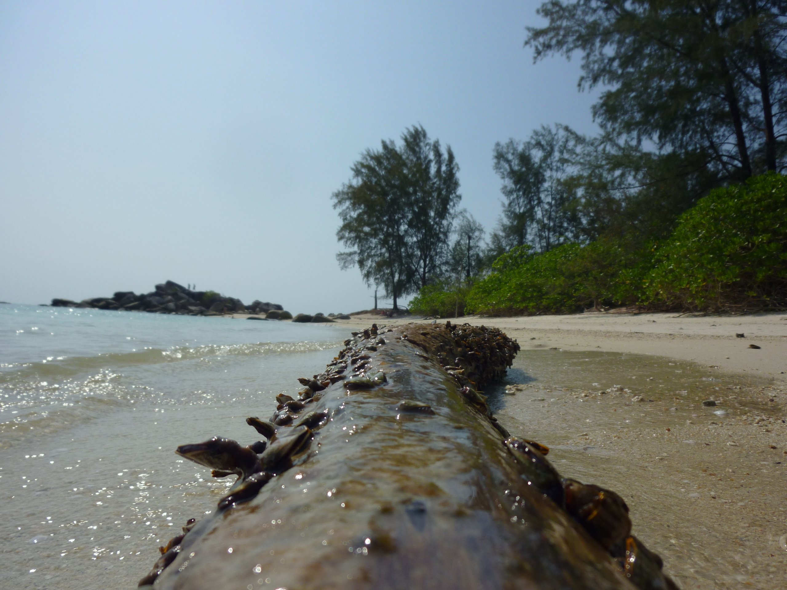 Fonds d'cran Nature Mers - Ocans - Plages 