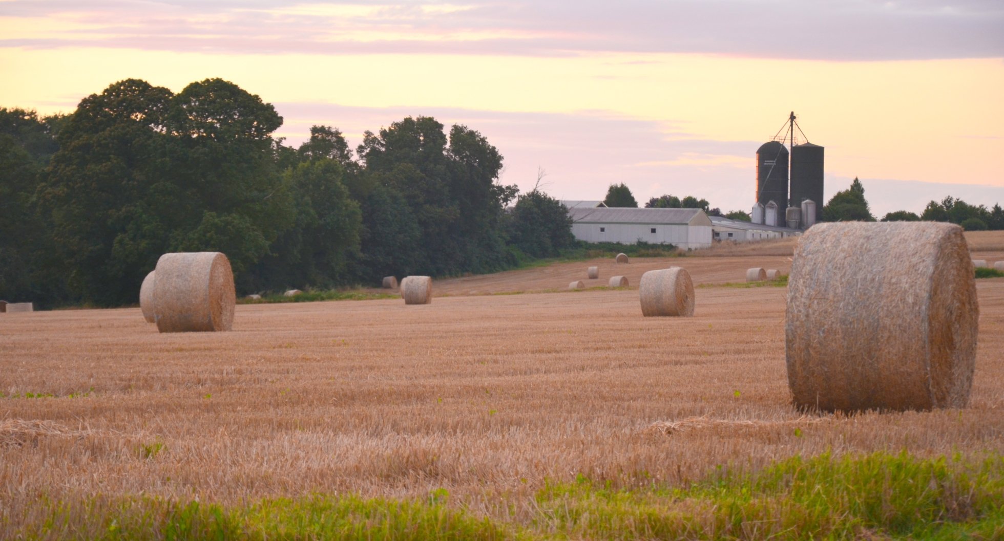 Fonds d'cran Nature Champs - Prairies 